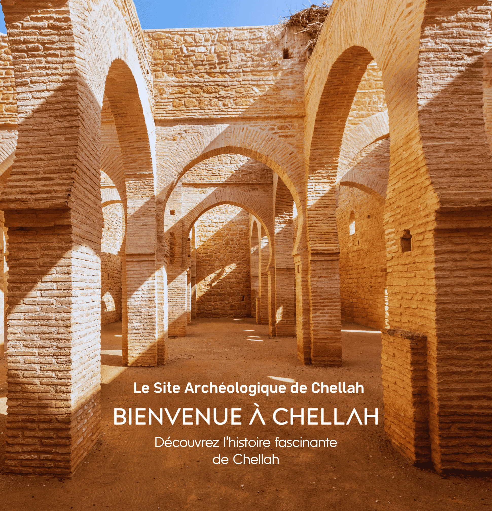 Visit Chellah Archaeological Site - Artist