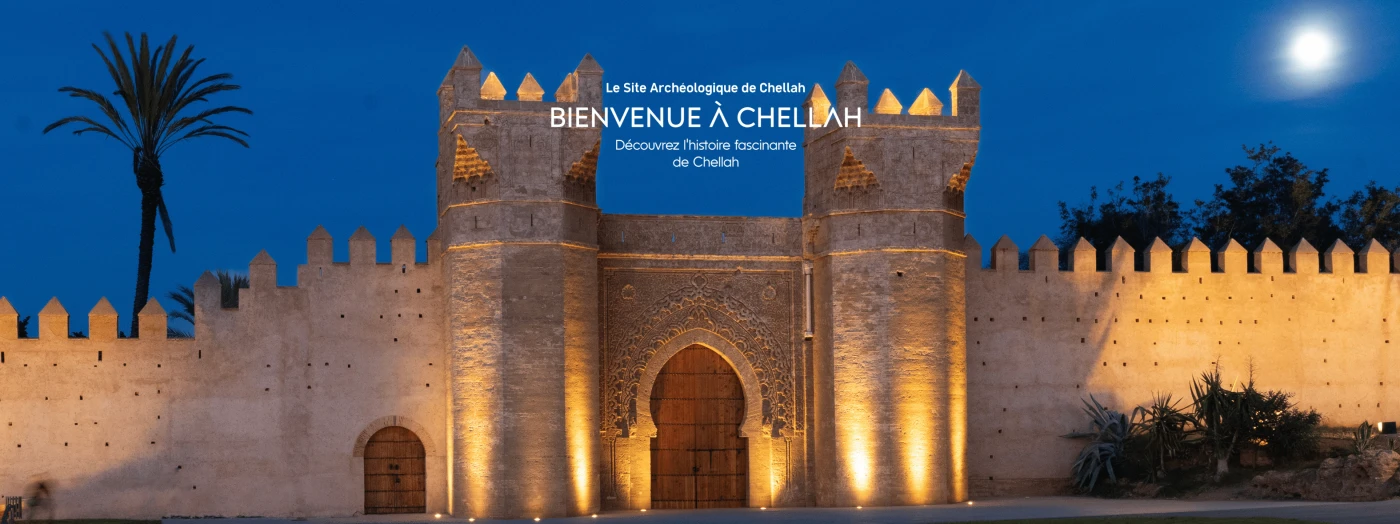 Visit Chellah Archaeological Site