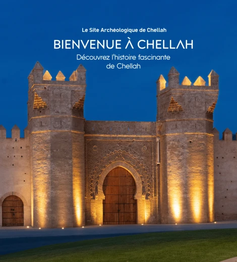 Visit Chellah Archaeological Site