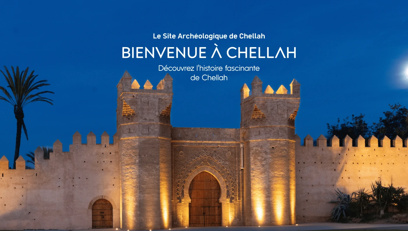 Visite du Site Archéologique de Chellah