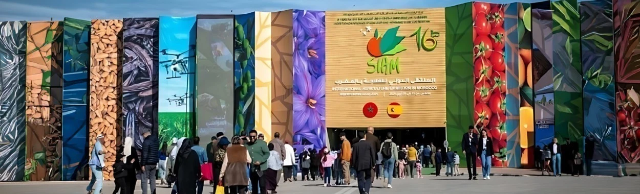 Official SIAM Site – Meknes